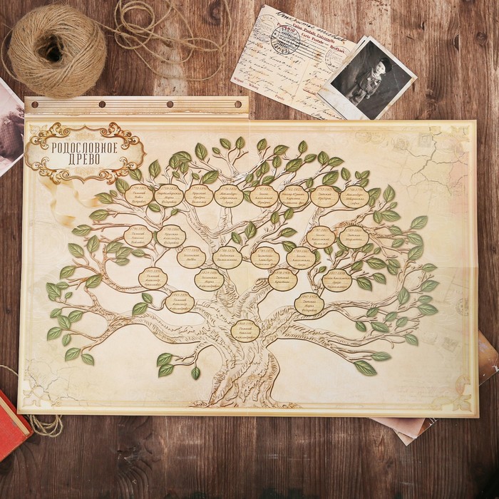 Подарочный набор "Родословная книга наш род" с пером и чернильницей, коричн., 35 х 42 см