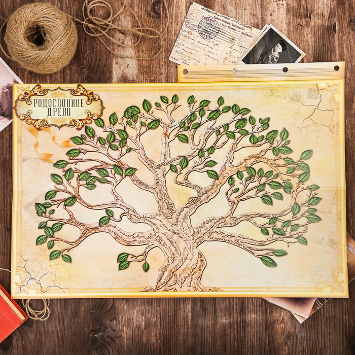 Подарочный набор "Родословная книга наш род" с пером и чернильницей, бордо, 35 х 42 см