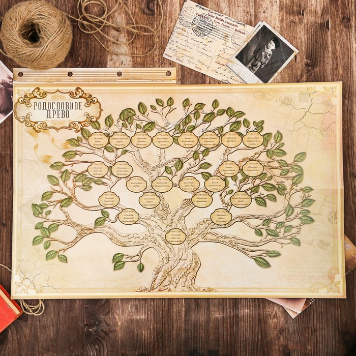Подарочный набор "Родословная книга наш род" с пером и чернильницей, бордо, 35 х 42 см