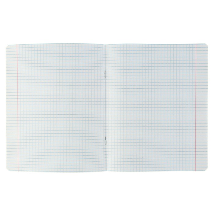 Тетрадь 12 листов клетка "Котята", обложка мелованная бумага, лак, 5 видов МИКС