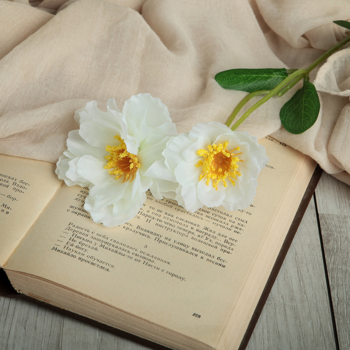 Цветы искусственные "Портулак" 8*48 см, белый