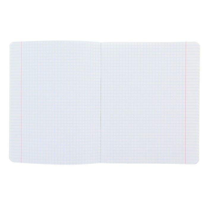 Тетрадь 24 листа клетка "Люкс", картонная обложка, 5 видов МИКС