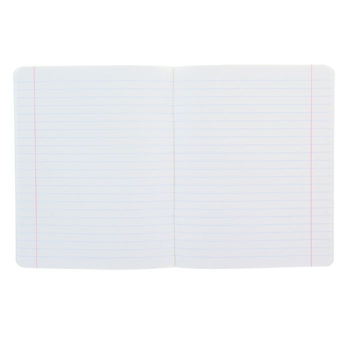 Тетрадь 24 листа линейка "Люкс", бумажная обложка, 5 видов МИКС