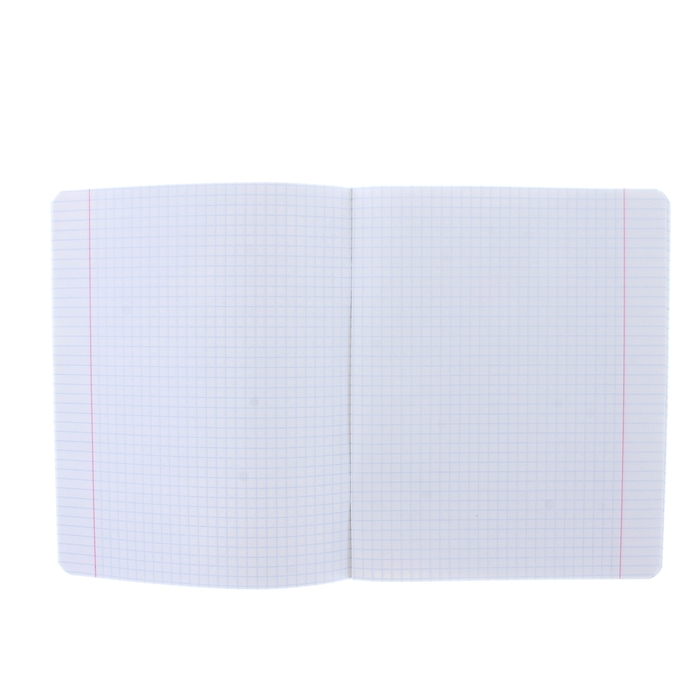 Тетрадь 24 листа клетка "Футбол-моя игра", бумажная обложка, 5 видов МИКС