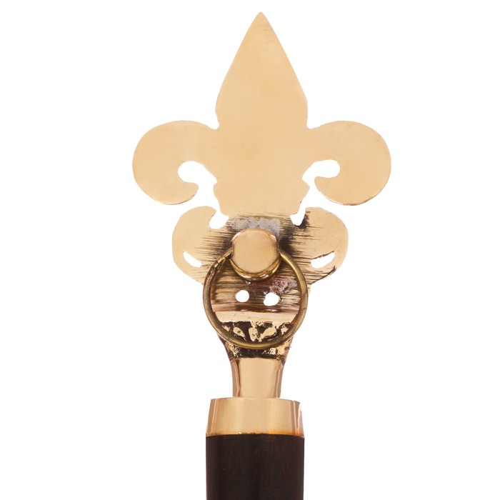 Ложка для обуви "Лилия", 36 х 6,5 х 2,5 см