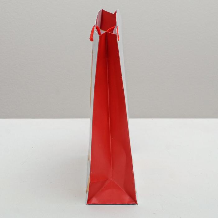 Пакет ламинированный вертикальный «Теплые объятья», 23 × 27 × 8 см