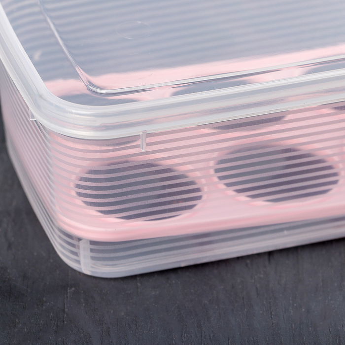 Контейнер для хранения яиц 10 ячеек 27х12х7 см, цвета МИКС