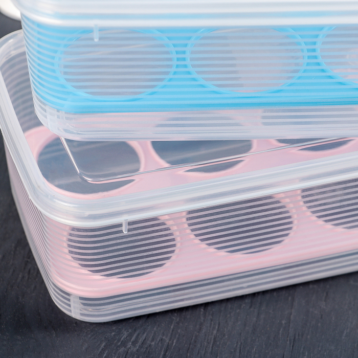 Контейнер для хранения яиц 10 ячеек 27х12х7 см, цвета МИКС