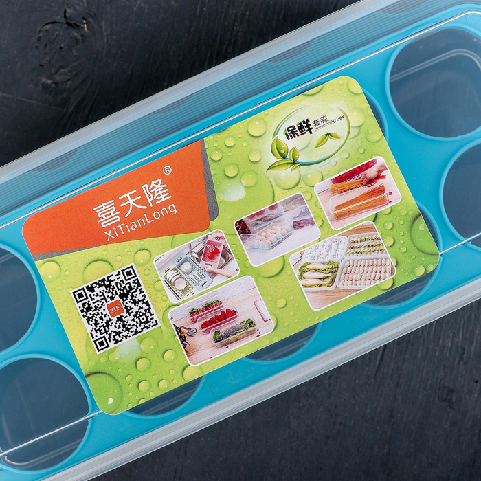 Контейнер для хранения яиц 10 ячеек 27х12х7 см, цвета МИКС