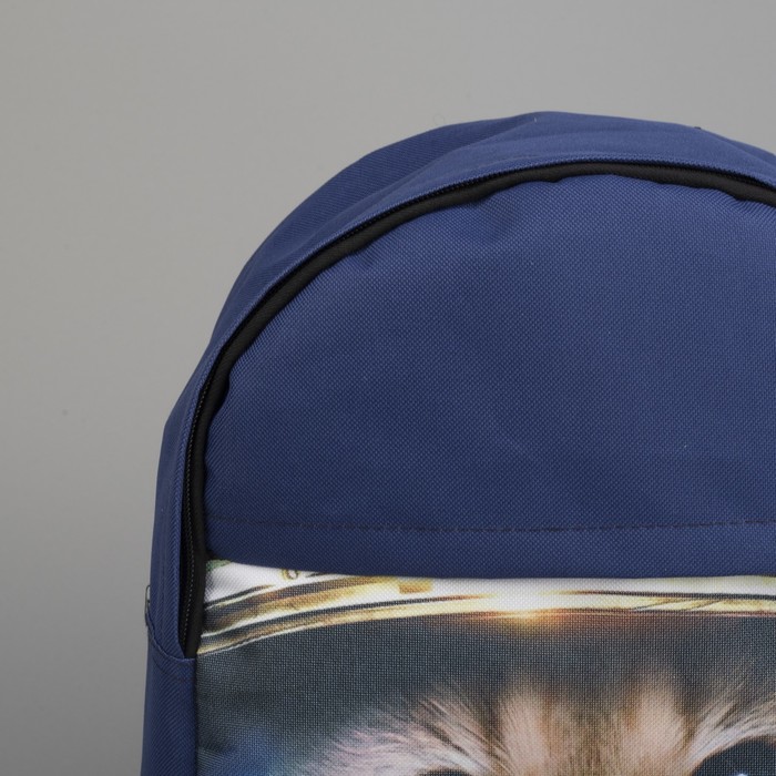 Рюкзак молод "СИТИ-1", 27*14*38, отдел на молнии, кот в скафандре