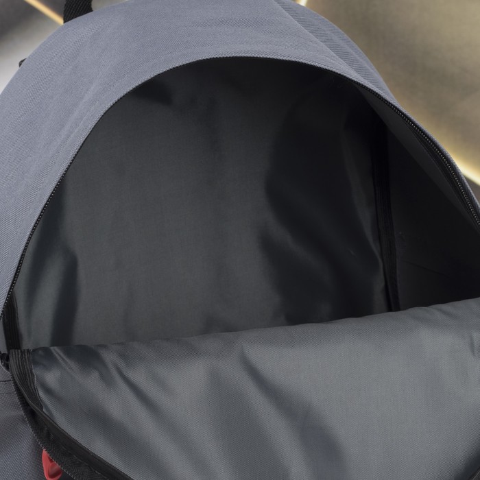 Рюкзак молод "СИТИ-1", 27*14*38, отдел на молнии, кот