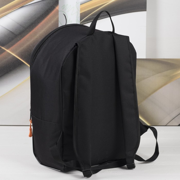 Рюкзак молод "СИТИ-2", 27*15*40, отдел на молнии, енот