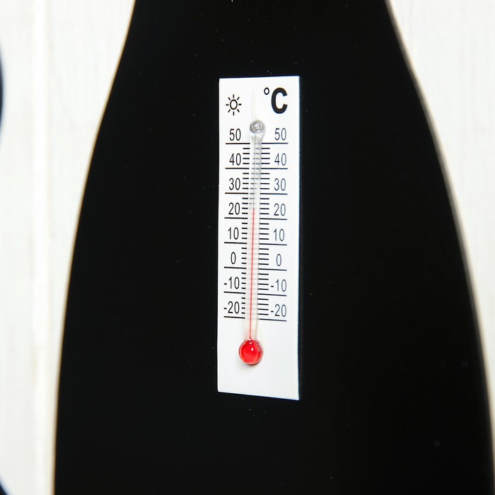 Термометр "Кошка"