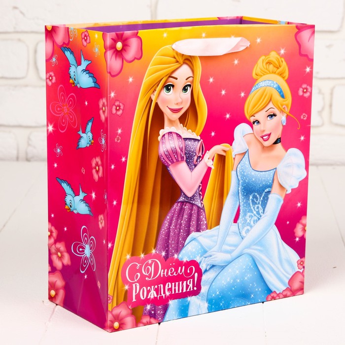 Набор пакетов МИКС, 23 х 27 х 11,5 см, 6 шт