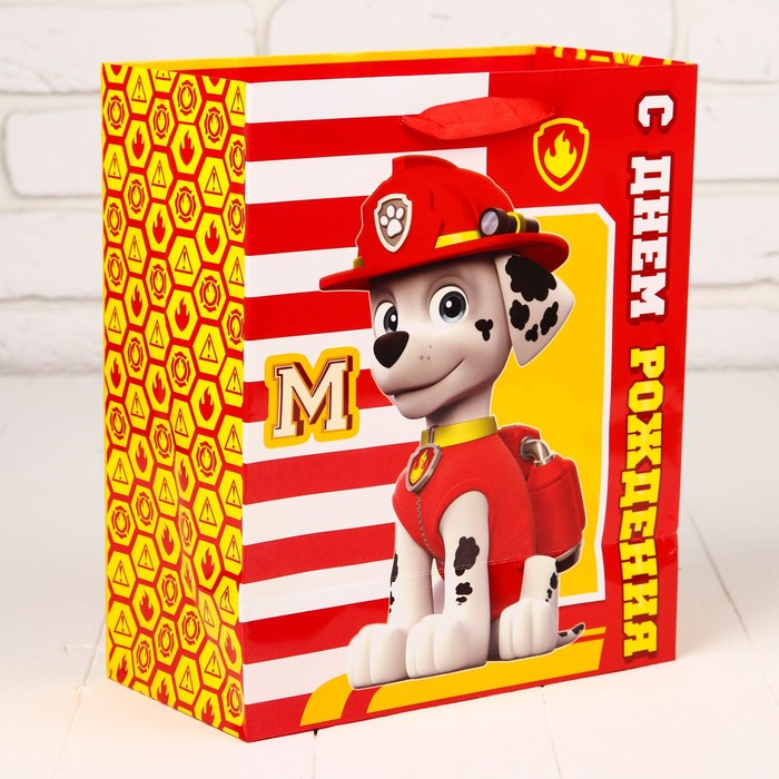 Набор пакетов МИКС, 23 х 27 х 11,5 см, 6 шт