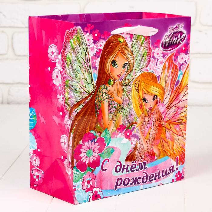 Набор пакетов МИКС, 23 х 27 х 11,5 см, 6 шт.