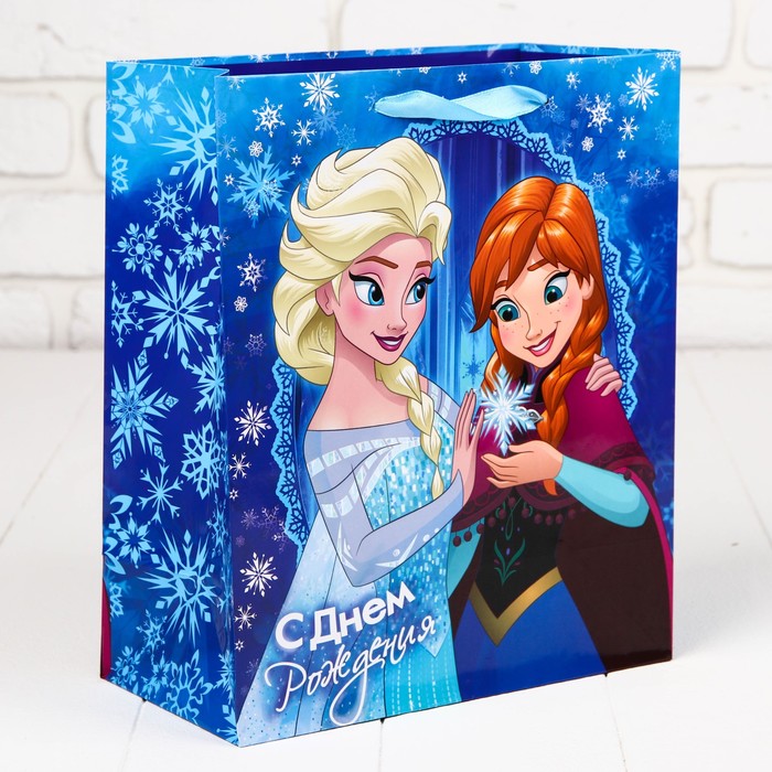 Набор пакетов МИКС, 23 х 27 х 11,5 см, 6 шт.