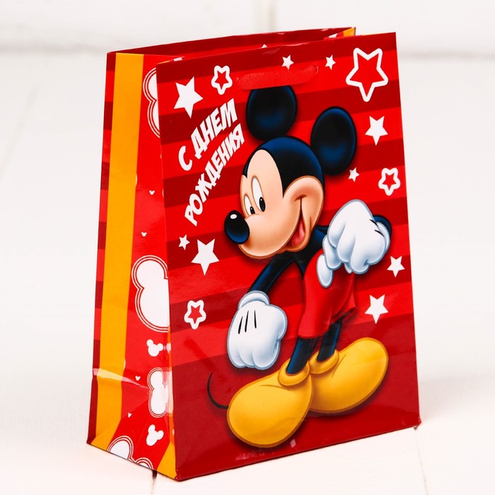 Набор пакетов МИКС, 12 х 15 х 5,5 см, 10 шт.