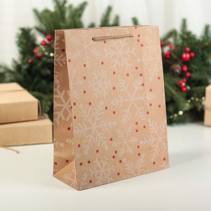 Пакет Крафт 19 х 24 х 8 см