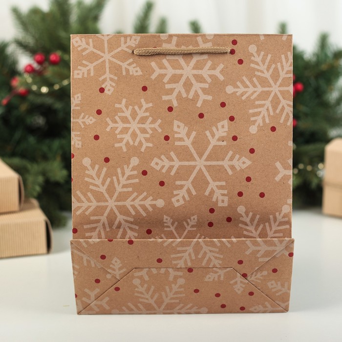 Пакет Крафт 19 х 24 х 8 см