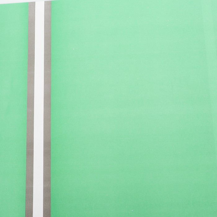 Бумага упаковочная, двусторонняя, зелёный, 50 х 70 см