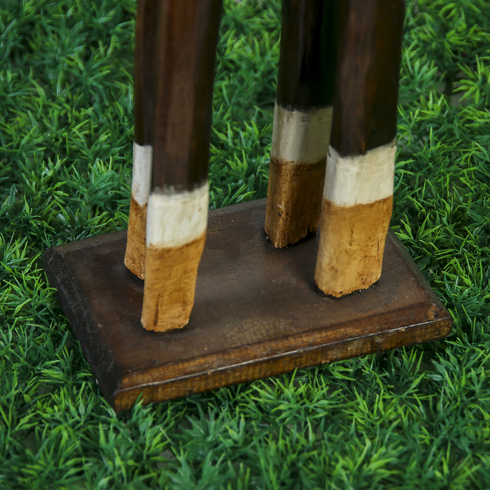 Сувенирный набор "Верблюды" (100,80,60) см, с ажурной попоной, дерево