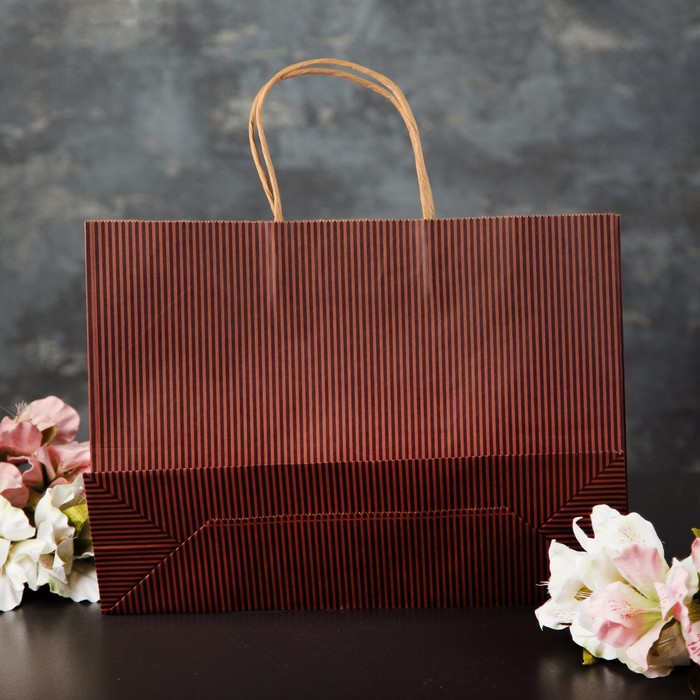 Пакет крафт 32,5 х 11 х 25 см