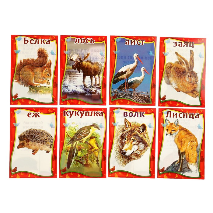 Набор карточек "Дикие животные и птицы", А5