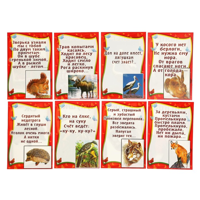Набор карточек "Дикие животные и птицы", А5
