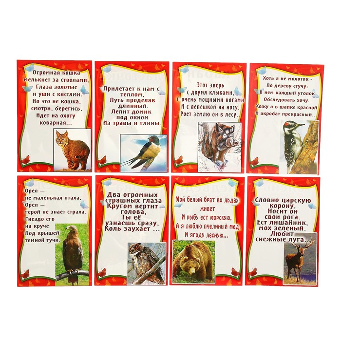 Набор карточек "Дикие животные и птицы", А5