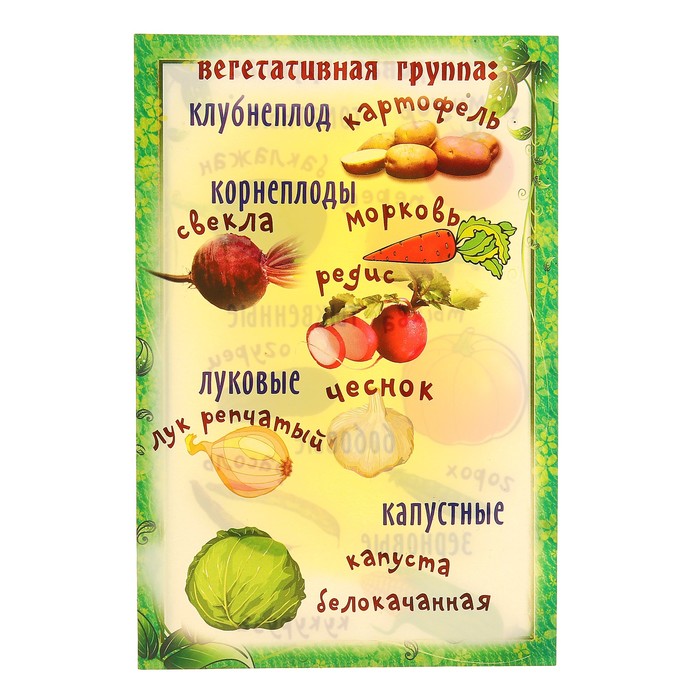 Набор карточек "Овощи", А5
