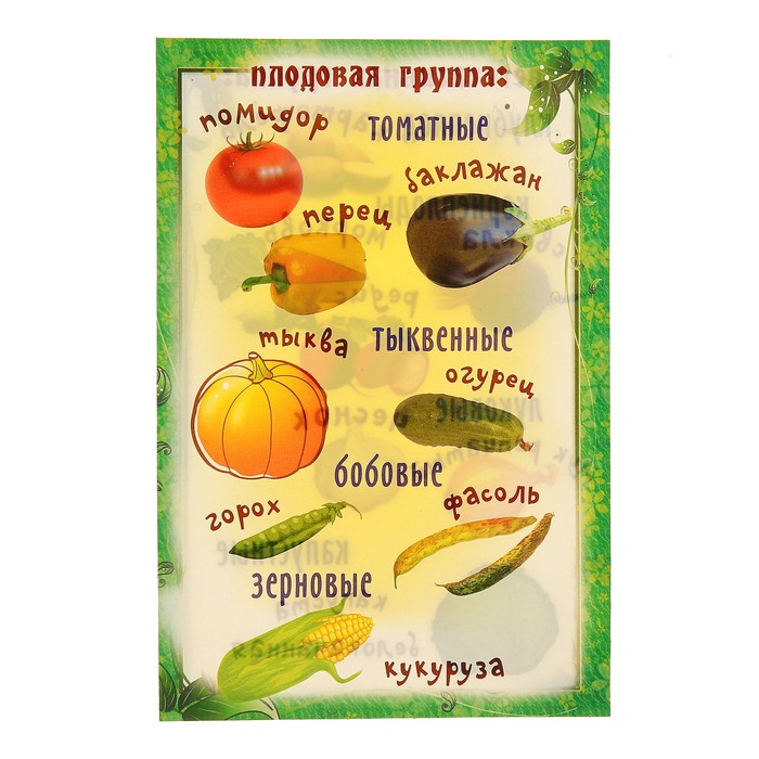 Набор карточек "Овощи", А5