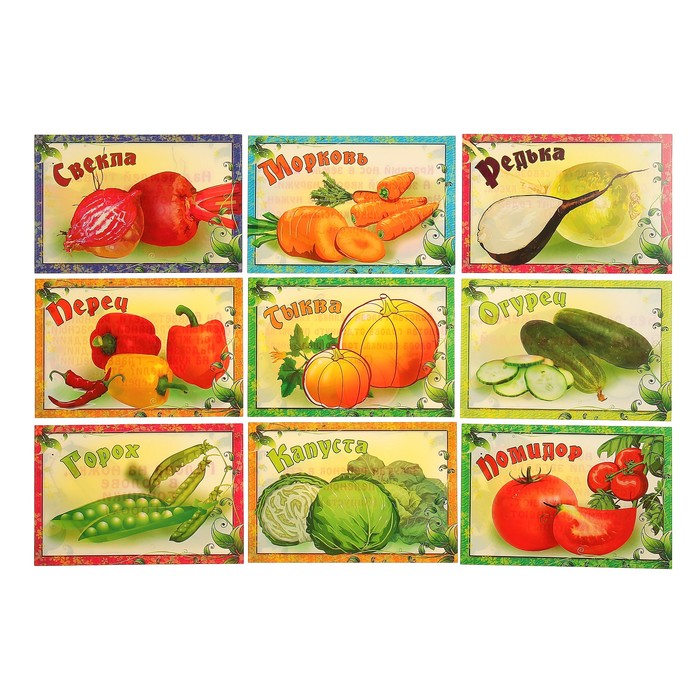 Набор карточек "Овощи", А5