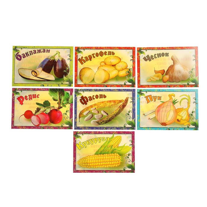 Набор карточек "Овощи", А5