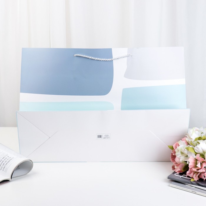 Пакет ламинированный 54 х 20 х 37 см