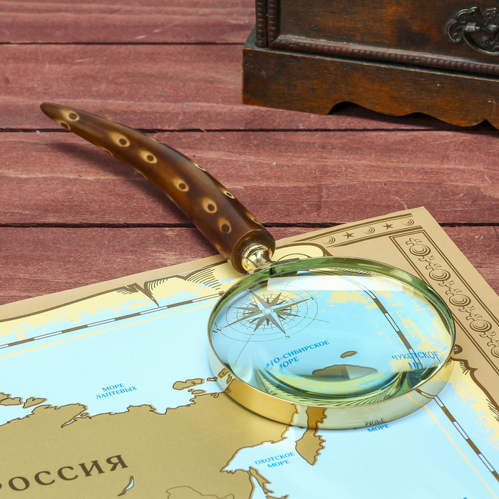 Лупа "Счатье" 2,5х10х28 см