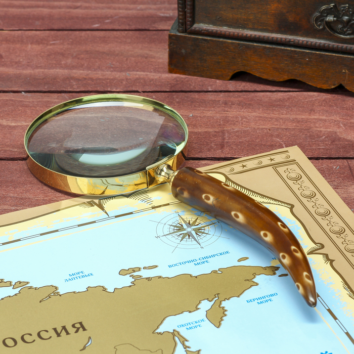 Лупа "Счатье" 2,5х10х28 см