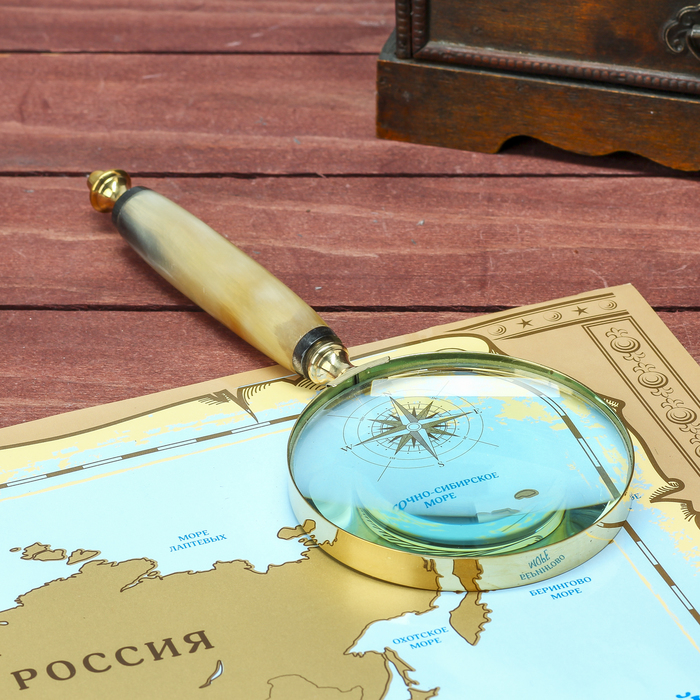 Лупа "Влечение" 2,5х10х27 см