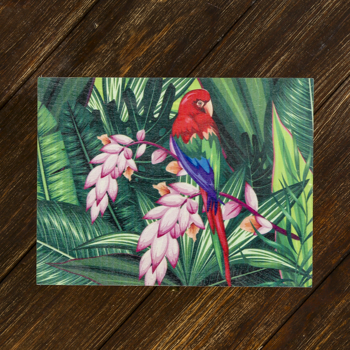 Шкатулка дерево "Попугай в тропическом лесу" 9х20,8х15,7 см