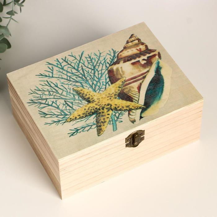 Шкатулка дерево "Морская ракушка и звезда" 9х20,8х15,7 см