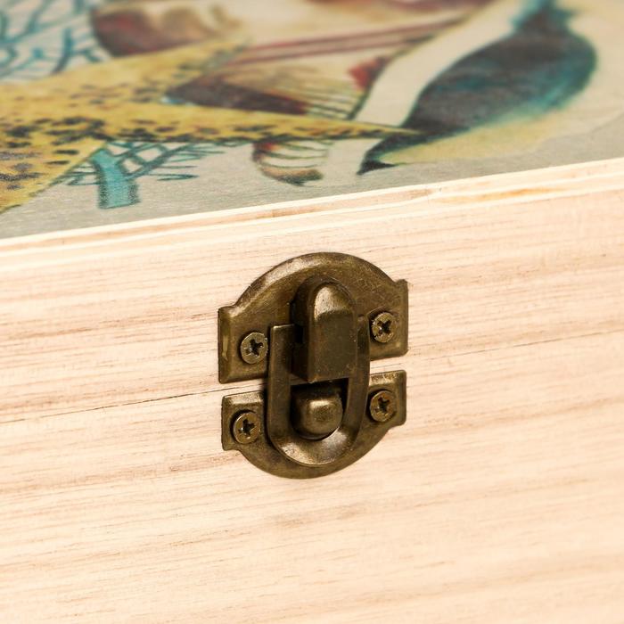 Шкатулка дерево "Морская ракушка и звезда" 9х20,8х15,7 см