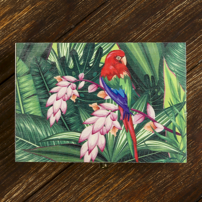 Шкатулка дерево "Попугай в тропическом лесу" 7х15х10,5 см