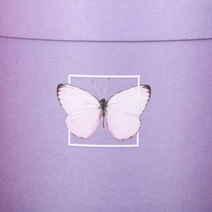 Набор круглых подарочных коробок 5в1, "Бабочки", 30 х 24- 15 х 15 см