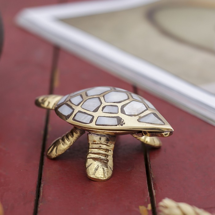 Сувенир латунь "Черепаха-шкатулка" 9х4х2см