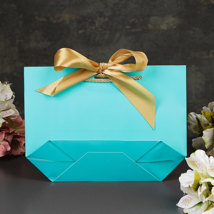 Пакет-сумка ламинированный 28 х 9 х 20 см