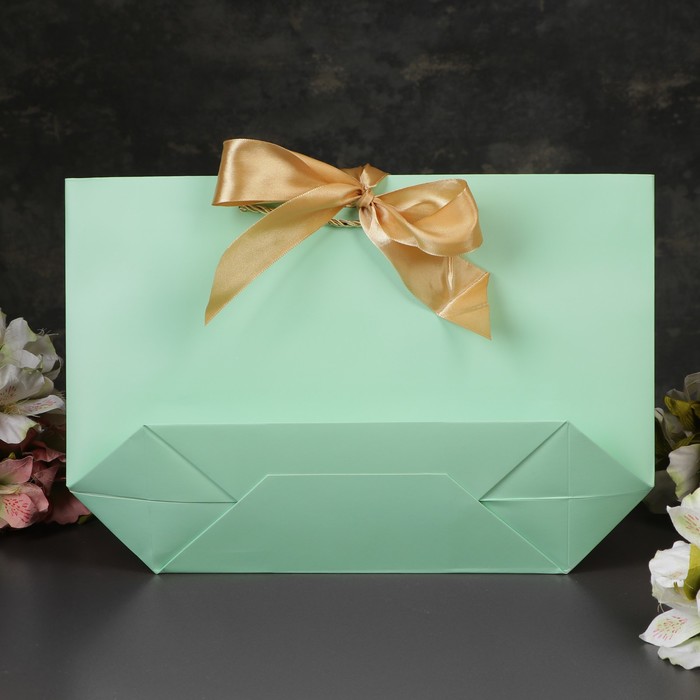 Пакет-сумка ламинированный 37.5 х 11 х 25 см