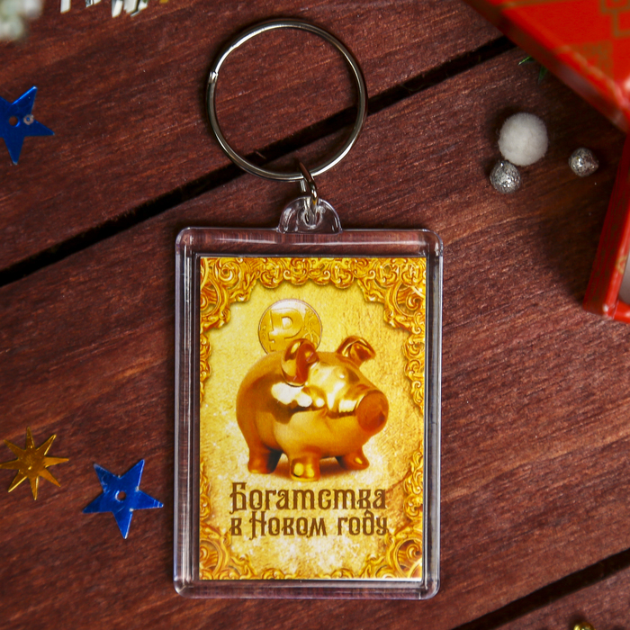Брелок акрил "Хрюшка золотая с монеткой" 5х3,5 см