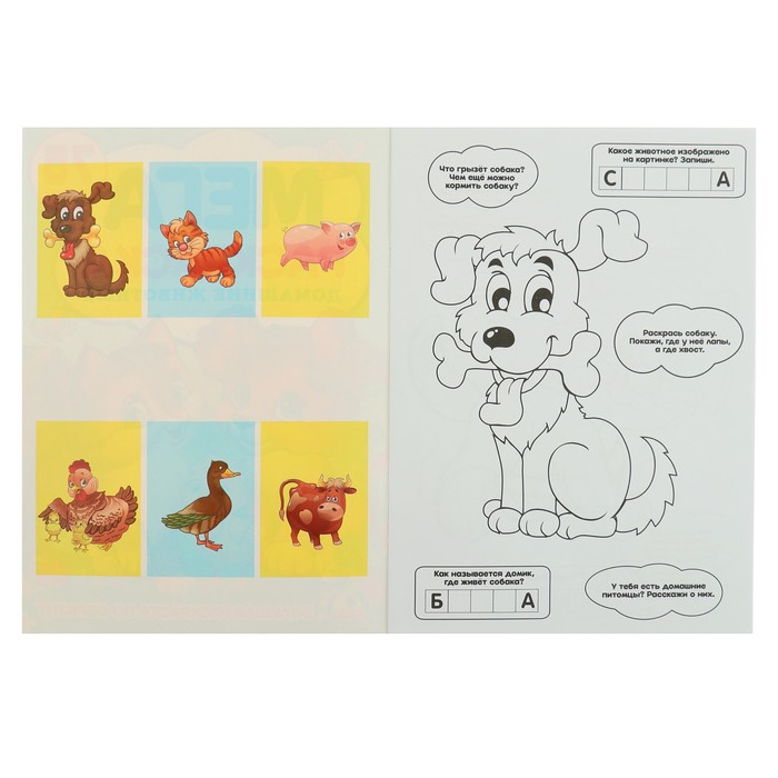 Большая раскраска А3. Домашние животные (240х330мм) 12 стр.