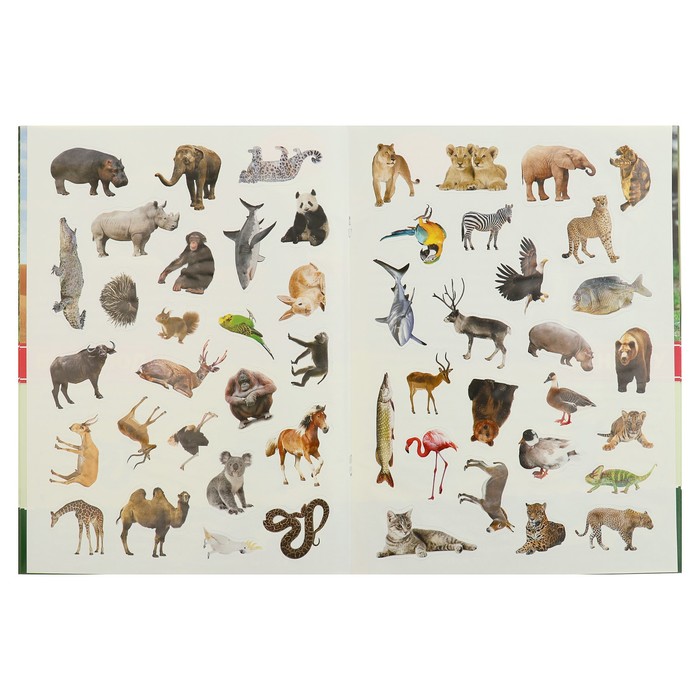 Энциклопедия с наклейками А4. Дикие животные (214х290мм) 16 стр.