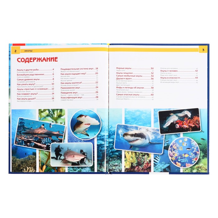 Энциклопедия А4. Акулы (тв.переплет. 130г. 197х255мм)